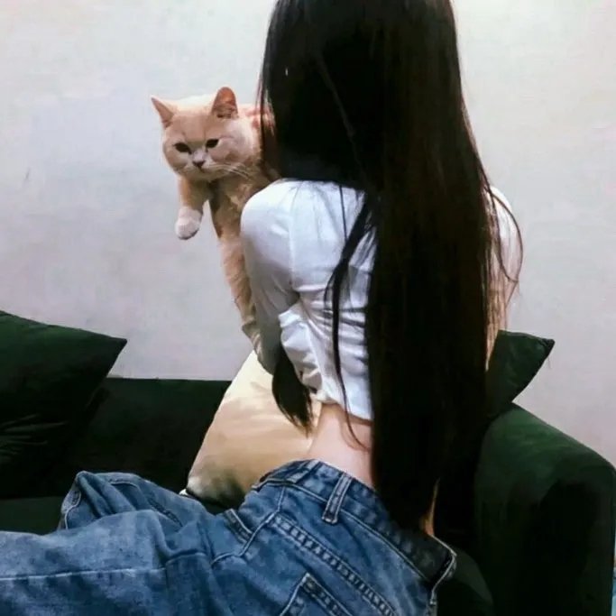 绝色锦衣卫
