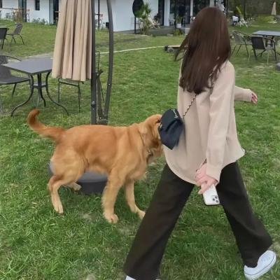 美丽城员警
